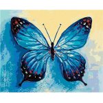 ZUTY Malování podle čísel MODRÝ MOTÝL 40 x 50 cm – Zboží Mobilmania