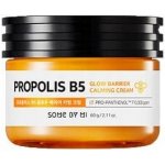 Some By Mi Propolis B5 Glow Barrier Calming Cream 60 g – Hledejceny.cz