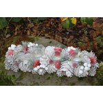 Morex Adventní svícny Balení: Typ.1 – Hledejceny.cz