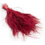 mech-mech.cz Sušený Kavyl Ivanův - (Stipa pennata) - Bordó – Zboží Dáma