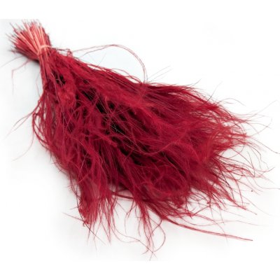 mech-mech.cz Sušený Kavyl Ivanův - (Stipa pennata) - Bordó – Zboží Dáma