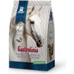 Derby Gastrolinis 4 kg – Zbozi.Blesk.cz