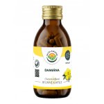 Salvia Paradise Damiána 120 kapslí – Hledejceny.cz