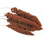 Avicentra Proso senegalské klasy červené 100 g – Sleviste.cz