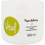 Stapiz Vital Repair Dual Hairtip Mask 60s 500 ml