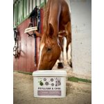 Dromy Psyllium + Chia 3 kg – Zboží Dáma