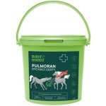 Root&Snoot Pulmoran Dých.cesty pro koně sypaná směs1 kg – Hledejceny.cz
