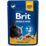 Brit Premium Cat Pouches with Salmon & Trout 24 x 100 g – Sleviste.cz