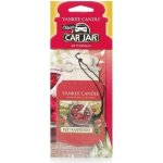 Yankee Candle Red Raspberry papírová visačka – Hledejceny.cz