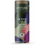 Bio Spectra přírodní balzám na rty attitude leaves bar s vůní máty 8,5 g – Zboží Dáma