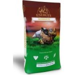 Energys nosnice klasik 10 kg – Zboží Dáma