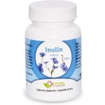 Natural Pharm Inulin 100 tablet – Hledejceny.cz