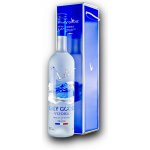 Grey Goose 40 % 3 l (karton) – Zboží Dáma