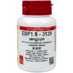 Sinecura EBF1.9-3129 sangjuyin 60 tablet – Hledejceny.cz