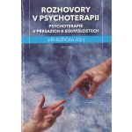 Rozhovory v psychoterapii - Psychoterapie v přesazích a souvislostech - Jiří Růžička – Hledejceny.cz