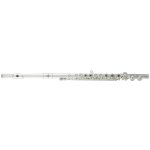 Roy Benson FL-402R – Sleviste.cz