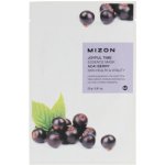Mizon plátýnková 3D maska s Acai Berry pro zdravou pleť a vitalitu Joyful Time Essence Mask Acai Berry 23 g – Zboží Dáma