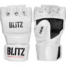 Blitz Sparring Pro MMA