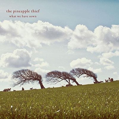 Pineapple Thief - What We Have Sown CD