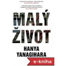 Malý život - Hanya Yanagihara