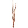 Květina větve Mitsumata 3ks-sv. 80cm - oranžové 381986-04