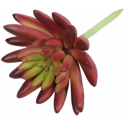 Umělý sukulent lotus Eševéria bordový 10,5 cm – Zboží Mobilmania