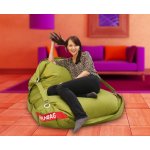 BeanBag 189x140 Comfort s popruhy green frog – Hledejceny.cz