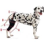 Kruuse Bandáž na koleno pro psa Rehab L Levá – Zboží Mobilmania