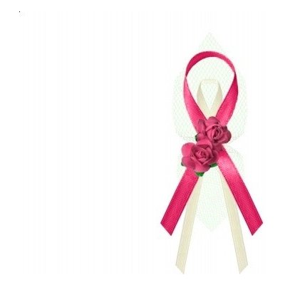 PartyDeco Velký vývazek s růžičkami sytě růžový - sytě růžové svatební vývazky, voničky pro rodiče a svědky – Zboží Dáma