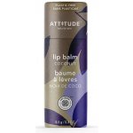 Bio Spectra přírodní balzám na rty attitude leaves bar s vůní kokosu 8,5 g – Hledejceny.cz