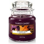 Yankee Candle Autumn Glow 104 g – Hledejceny.cz