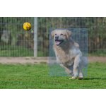 Feiyu Tech Pocket – Zboží Živě