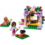 LEGO® Friends 41031 Horská chata Andrey – Hledejceny.cz