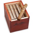 Flor de Oliva Robusto 25 ks