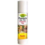 BC Bione Cosmetics Bio Arganový olej & Karité pomáda na rty 17 ml – Zboží Dáma