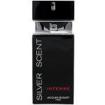 Jacques Bogart Silver Scent Intense toaletní voda pánská 100 ml – Sleviste.cz