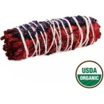 Green Tree Svazek pro vykuřování Dragon's Protection Sage Šalvěj bílá a Dragons Blood Dračí krev 10 cm 1 ks – Zboží Dáma