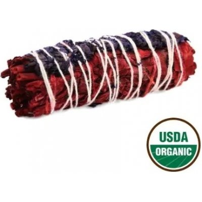 Green Tree Svazek pro vykuřování Dragon's Protection Sage Šalvěj bílá a Dragons Blood Dračí krev 10 cm 1 ks – Zboží Dáma