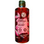 Yves Rocher Malinový ocet pro lesklé vlasy 400 ml – Hledejceny.cz