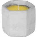 Citronella Cement 90 x 75 mm