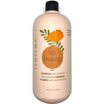 Teotema Anti-Orange Šampon pro neutralizaci měděných a oranžových odlesků 1000 ml