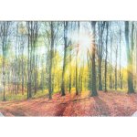 Les – Zboží Dáma