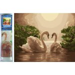 Norimpex Diamantové malování Labutí píseň 30 x 40 cm – Sleviste.cz