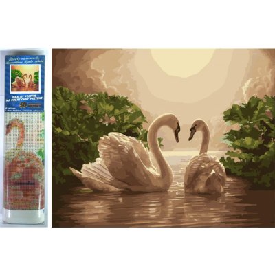 Norimpex Diamantové malování Labutí píseň 30 x 40 cm – Sleviste.cz