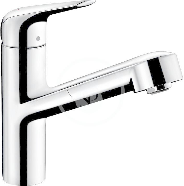 HansGrohe Focus 71814000