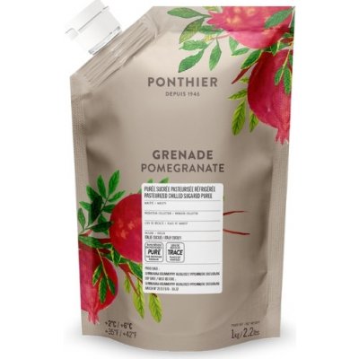 Ponthier ovocné pyré Granátové jablko 90% 1 kg – Zboží Mobilmania