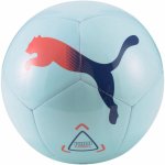 Puma ICON – Zbozi.Blesk.cz