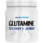 AllNutrition Glutamine Recovery Amino 500 g – Zboží Dáma