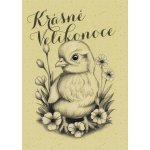 Pohlednice Velikonoční 106 – Hledejceny.cz