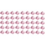 Akko Stellar Rose 45 ks – Sleviste.cz